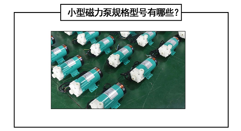 小型磁力泵規格型號有哪些？