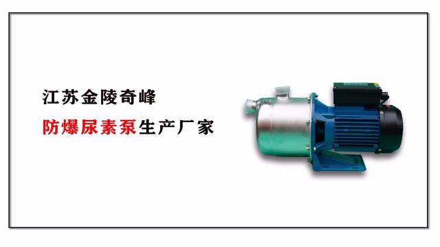 防爆<i style='color:red'>尿素泵</i>生產廠家，江蘇金陵奇峰